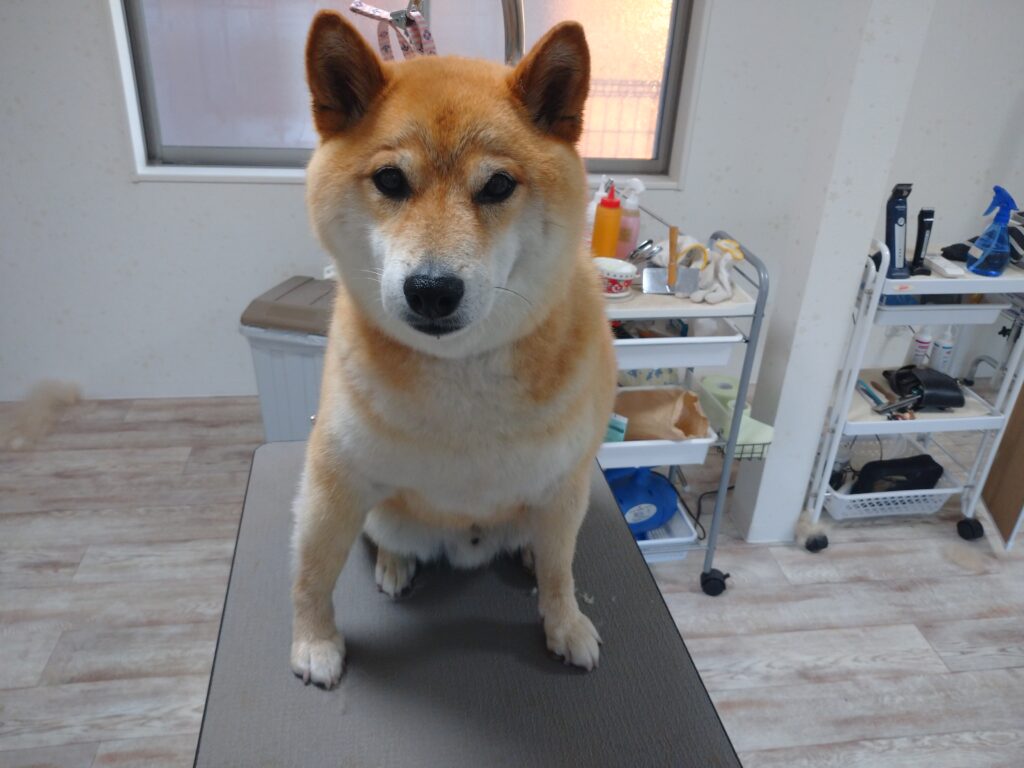 じゅうべぇちゃん