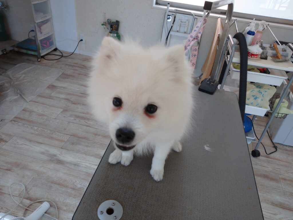ゆきちゃん