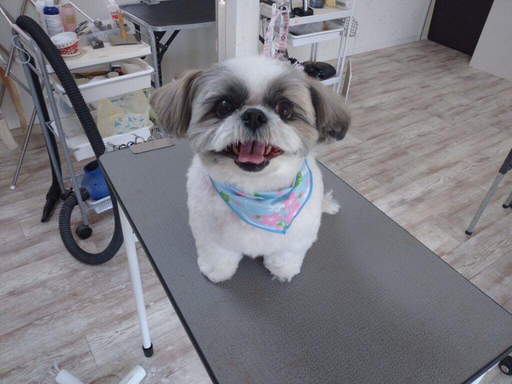 もすらちゃん