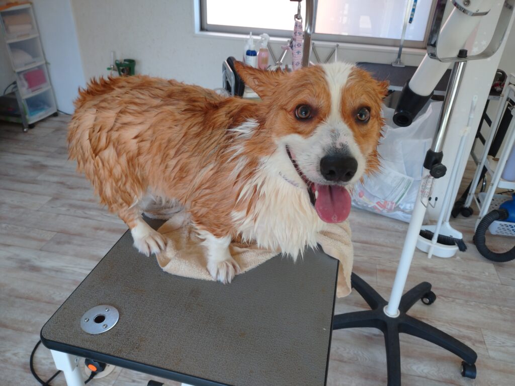 そらちゃん