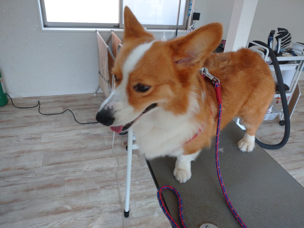 そらちゃん