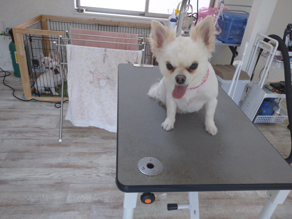 リーちゃん
