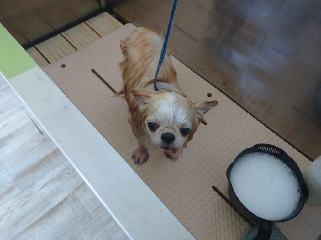 くらまちゃん