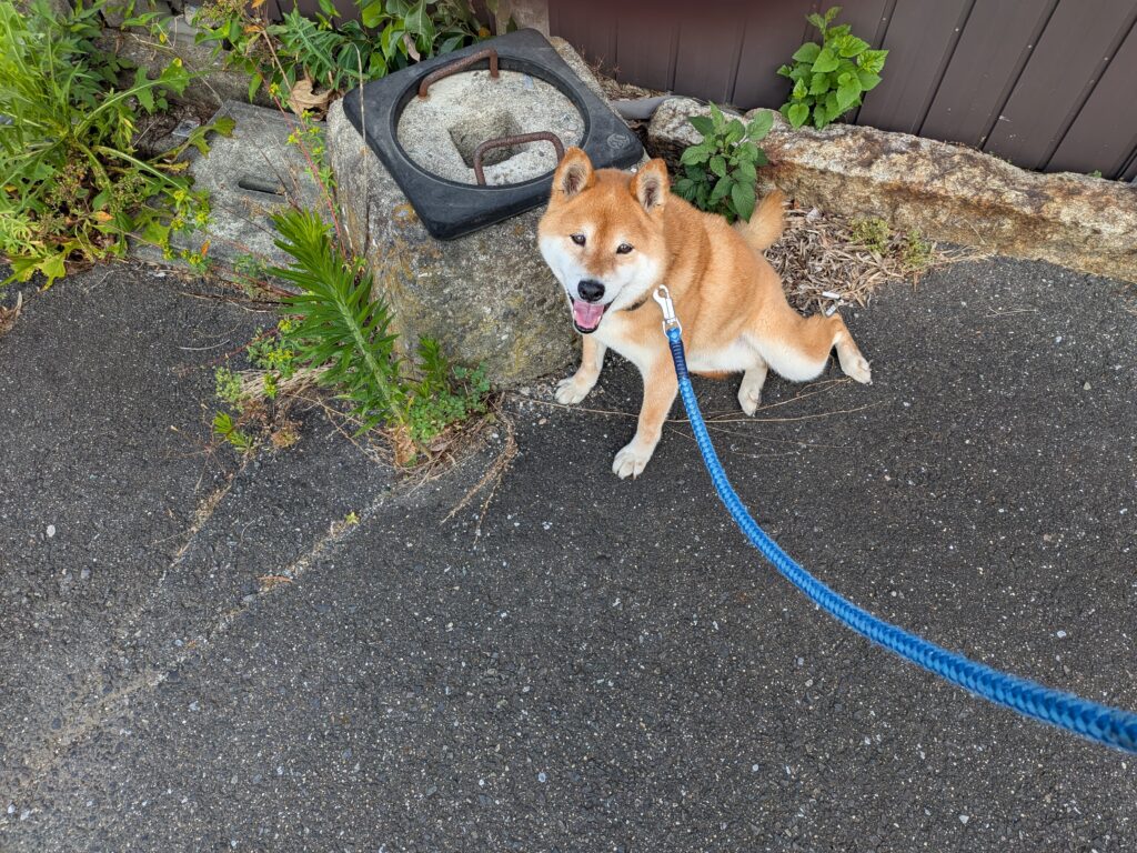 テンちゃん