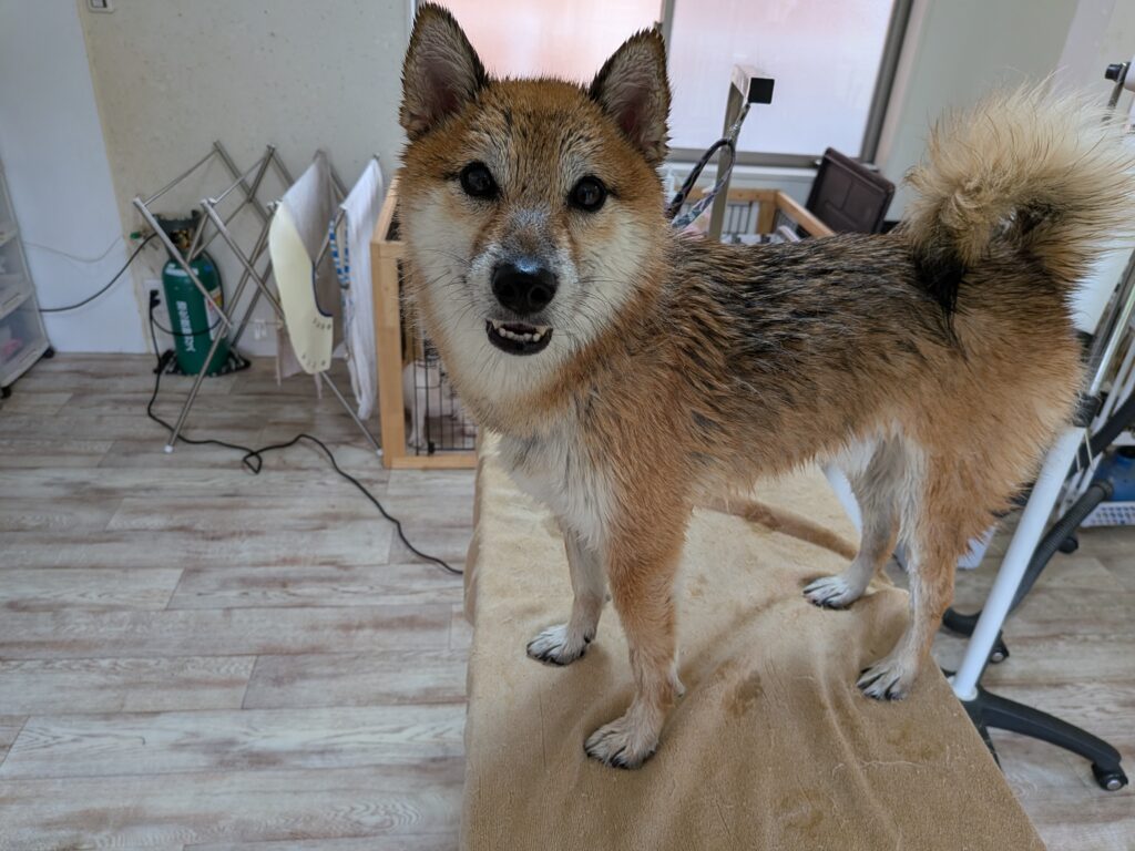 義時くん