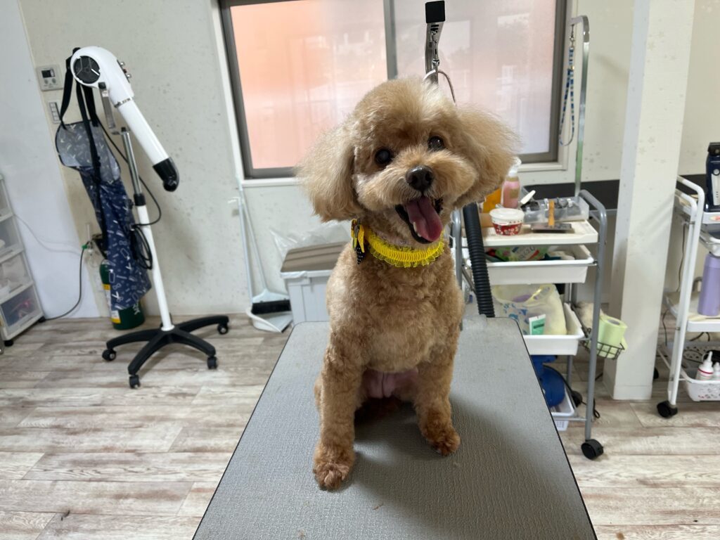 くりちゃん