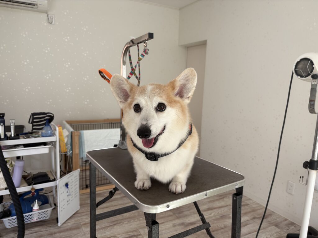 サンちゃん