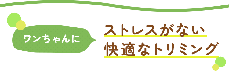 ワンちゃんにストレスがない快適なトリミング