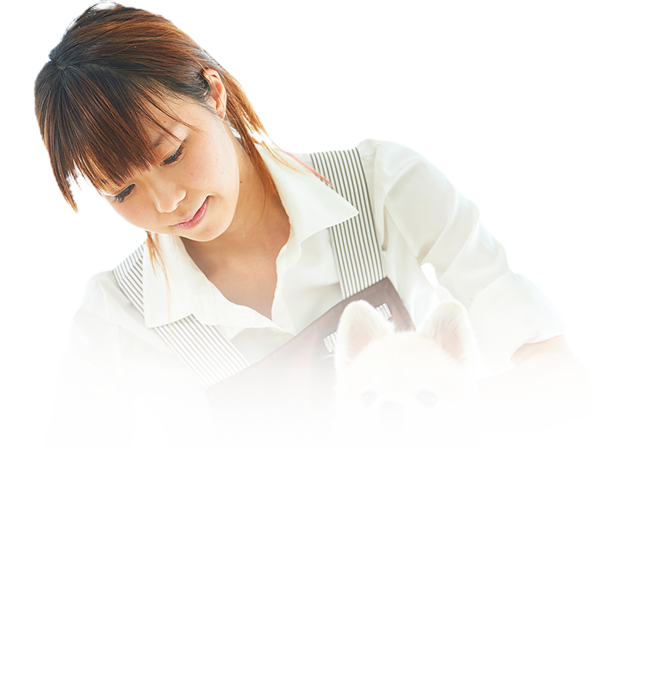 求人情報